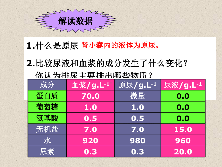 第11章《人体废物的排出》课件3.ppt_第3页