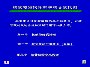 （生物课件）第八章 核酸的酶促降解及核苷酸代谢.ppt