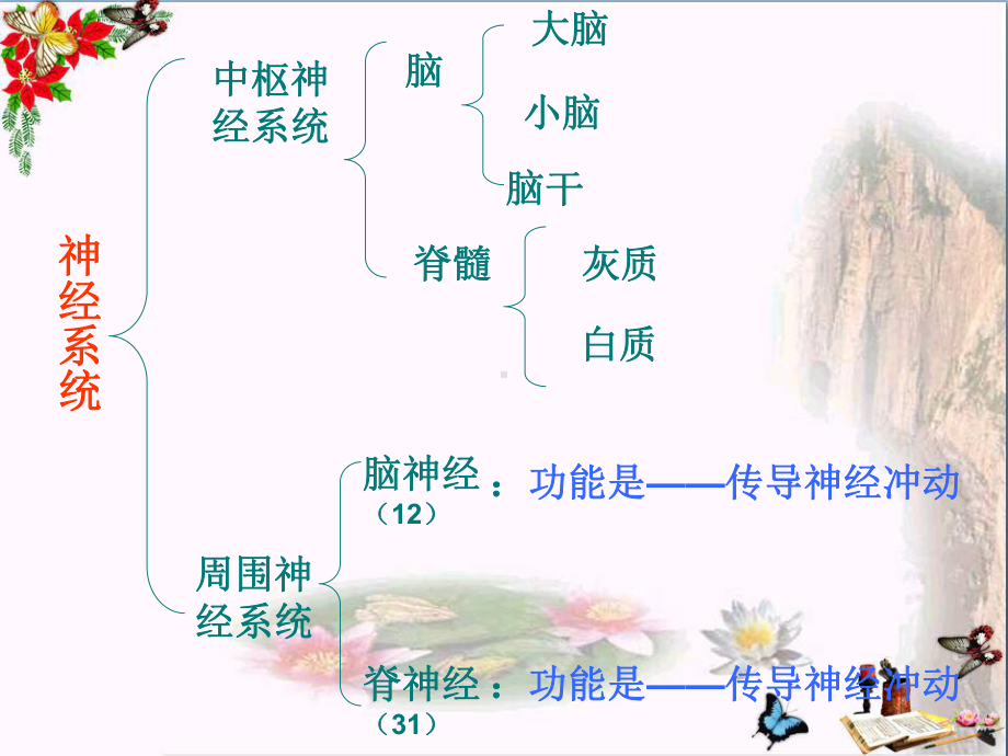 苏教版生物七年级下册12.2《人体的神经调节》ppt课件.pptx_第2页