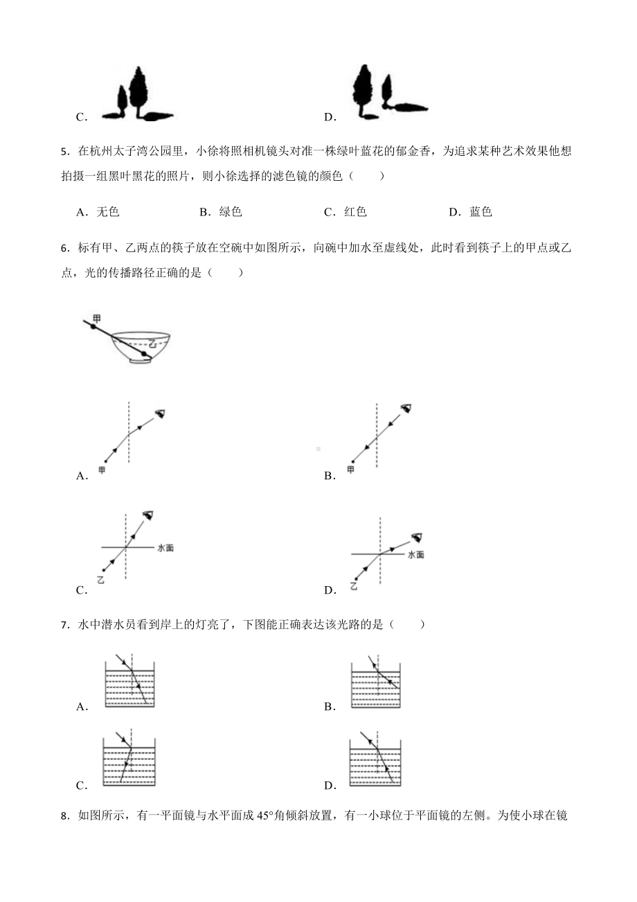 浙教版科学七下期末复习阶梯训练：眼与光 （基础巩固）及答案.docx_第2页