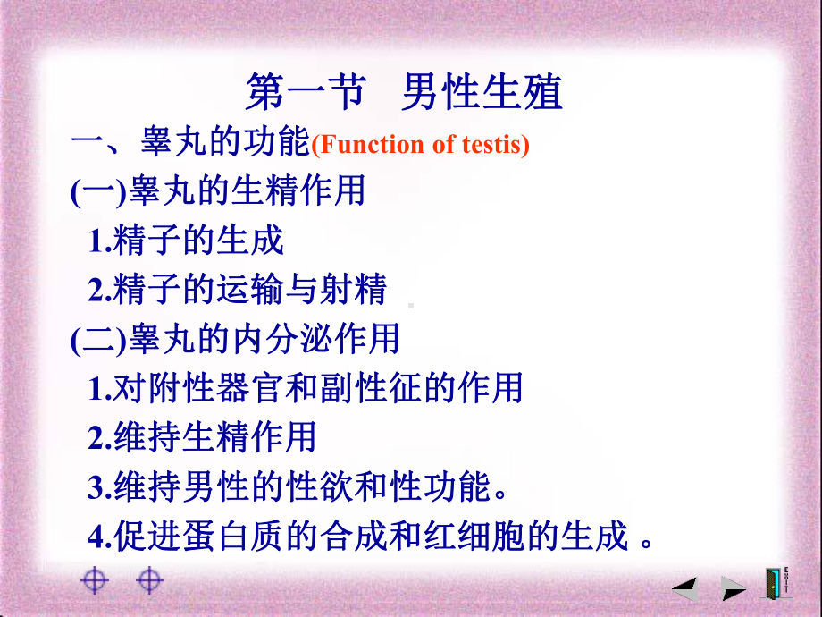 生理课件学-第十二章 生殖.ppt_第3页