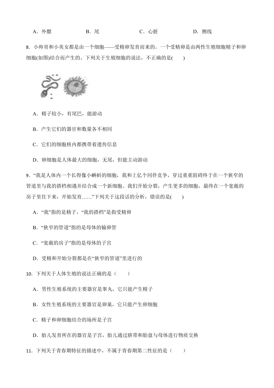 科学七下期末复习阶梯训练：人与动物（优生加练）.pdf_第3页