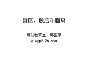 03臀区股后区腘窝解剖学课件.ppt