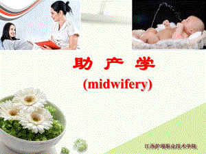 (课件)-助产学（midwifery）.ppt