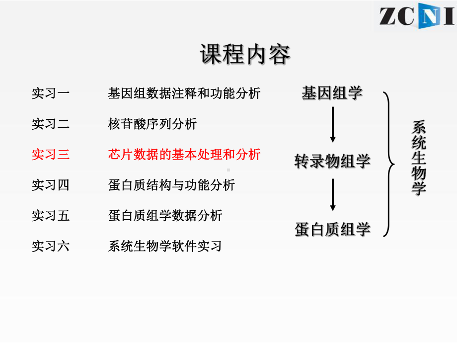 芯片数据的基本处理和分析课件.ppt_第2页