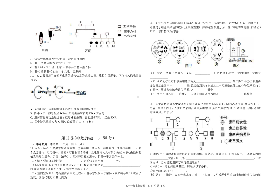 辽宁省沈阳市五校协作体2021-2022学年高一下学期期中联考生物试卷.pdf_第3页