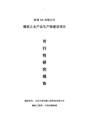 橡胶止水产品项目可行性研究报告申请报告.doc