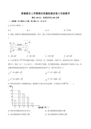 江西省景德镇市八年级上学期期末质量检测数学试题.docx