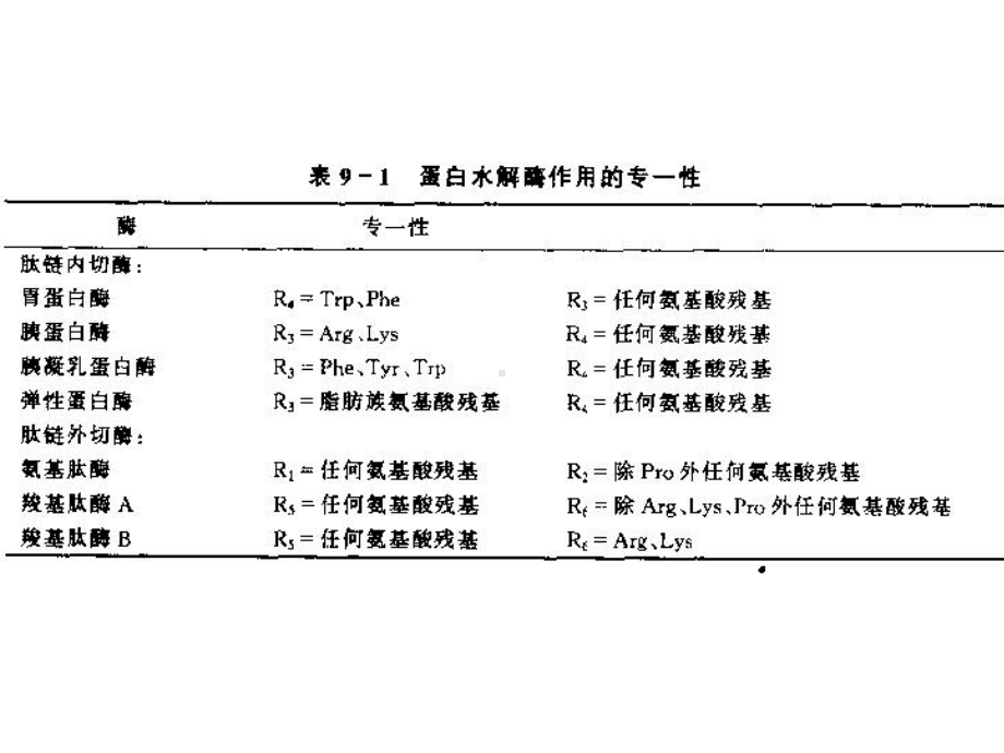 蛋白质的酶促降解和氨基酸的代谢课件.ppt_第2页