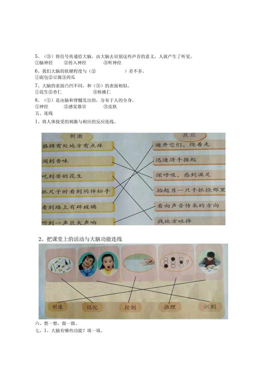 苏教版五年上册科学第五单元测试题（含答案）.docx_第2页