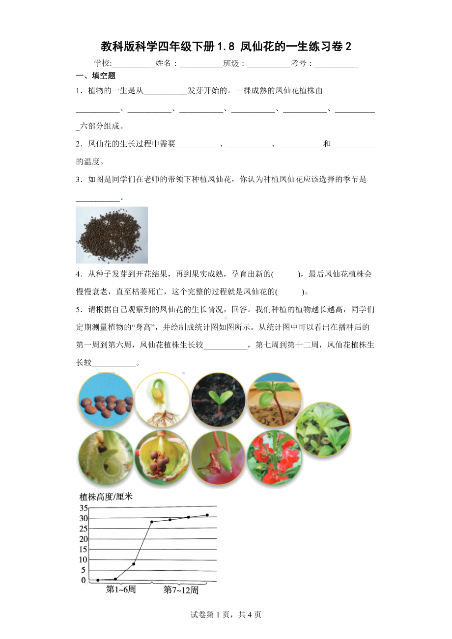 教科版科学四年级下册1.8凤仙花的一生练习卷(含答案解析).docx_第1页