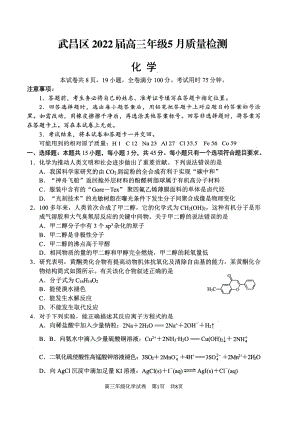 湖北省武汉市武昌区2022届高三化学5月质量检测及答案.pdf