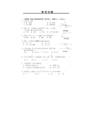 湖北省武汉市新洲区2021-2022学年七年级下学期期中考试数学试卷.pdf