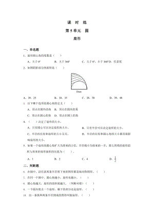 人教版六年级上册数学课时练第五单元《扇形》03附答案.pptx