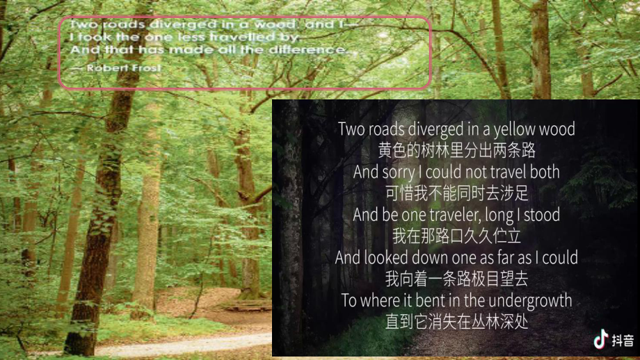 Unit 5 Poems Reading and thinking ppt课件-（2022新）人教版高中英语选择性必修第三册(001).pptx_第3页