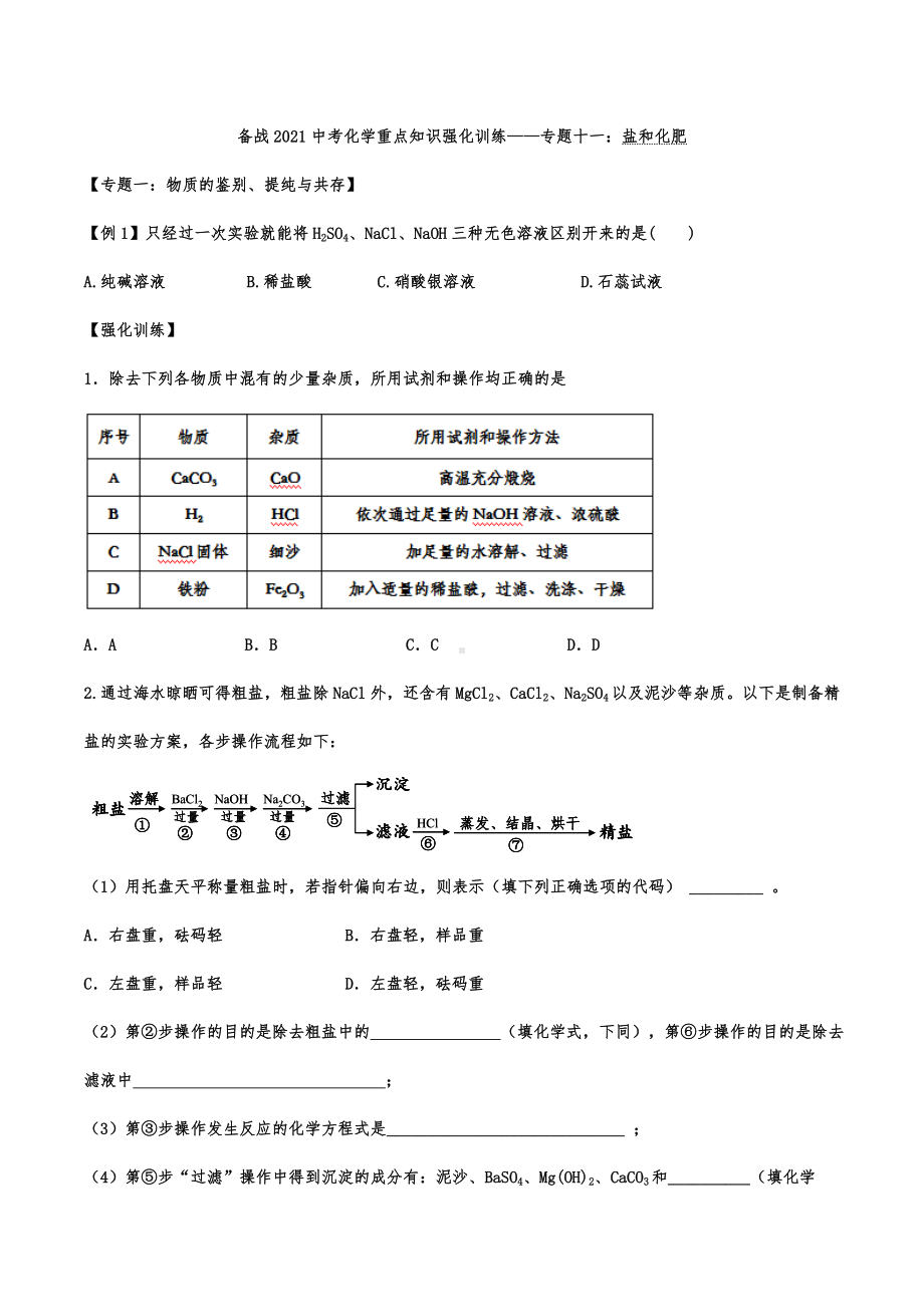 备战2021中考化学重点知识精编强化训练-专题十一：盐和化肥.pdf_第1页