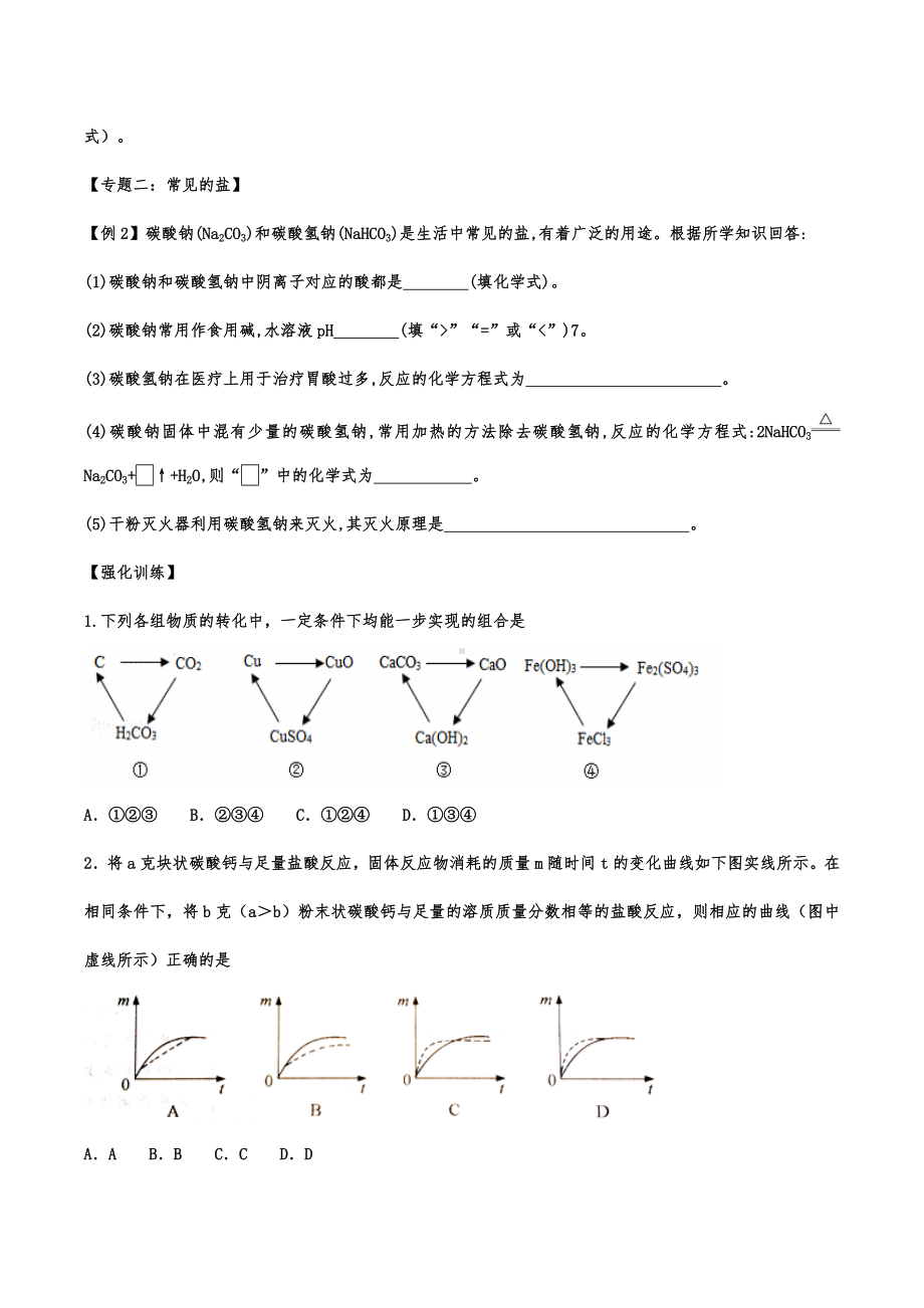 备战2021中考化学重点知识精编强化训练-专题十一：盐和化肥.pdf_第2页