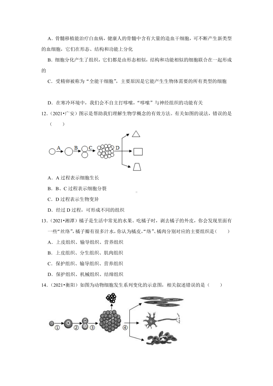 精编细胞的分裂、分化和生长2021年各省市中考生物试题精编.pdf_第3页