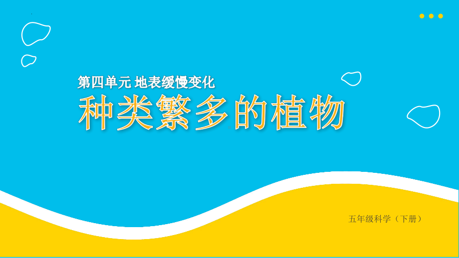 2022冀人版五年级下册科学4.11种类繁多的植物 ppt课件.pptx_第1页