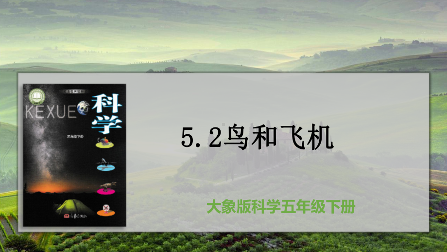 2022大象版五年级下册科学5.2鸟和飞机 ppt课件.pptx_第3页