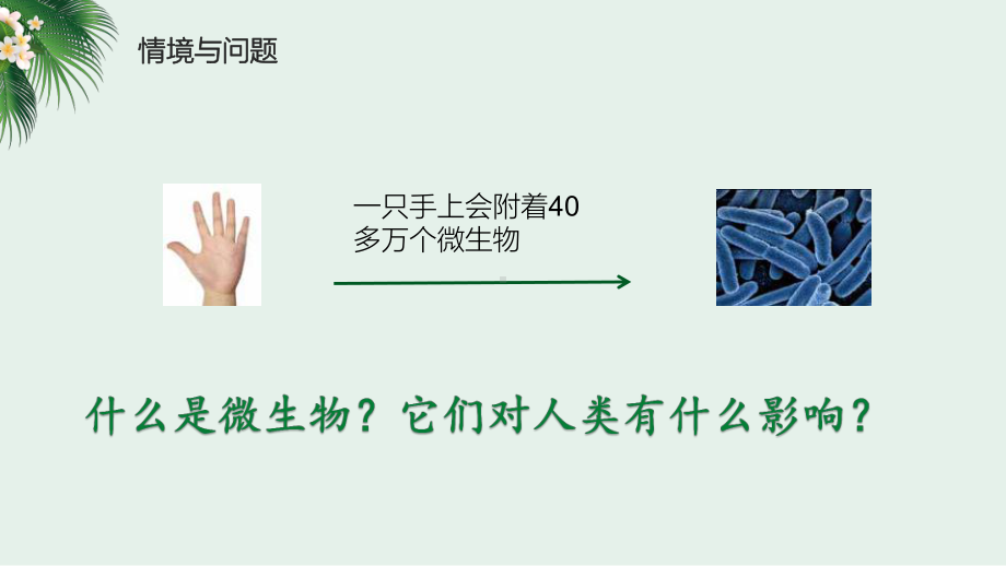 2022冀人版五年级下册科学 4.13看不见的微生物 ppt课件.pptx_第2页