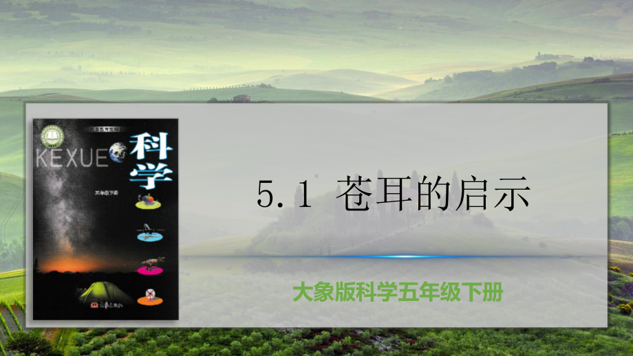 2022大象版五年级下册科学5.1 苍耳的启示ppt课件.pptx_第3页