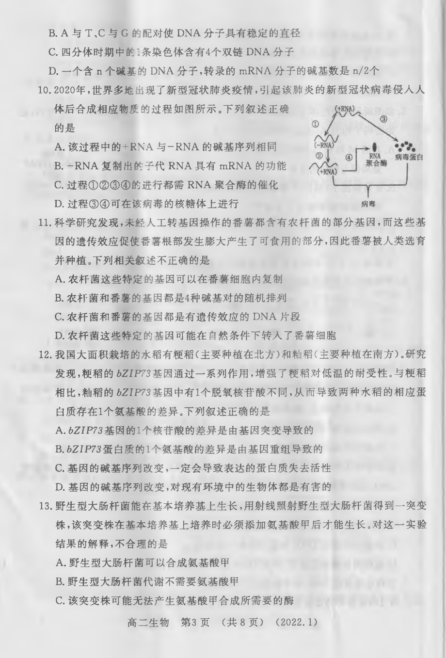 河南省洛阳市2021—2022学年高二上学期期末考试生物试题.pdf_第3页