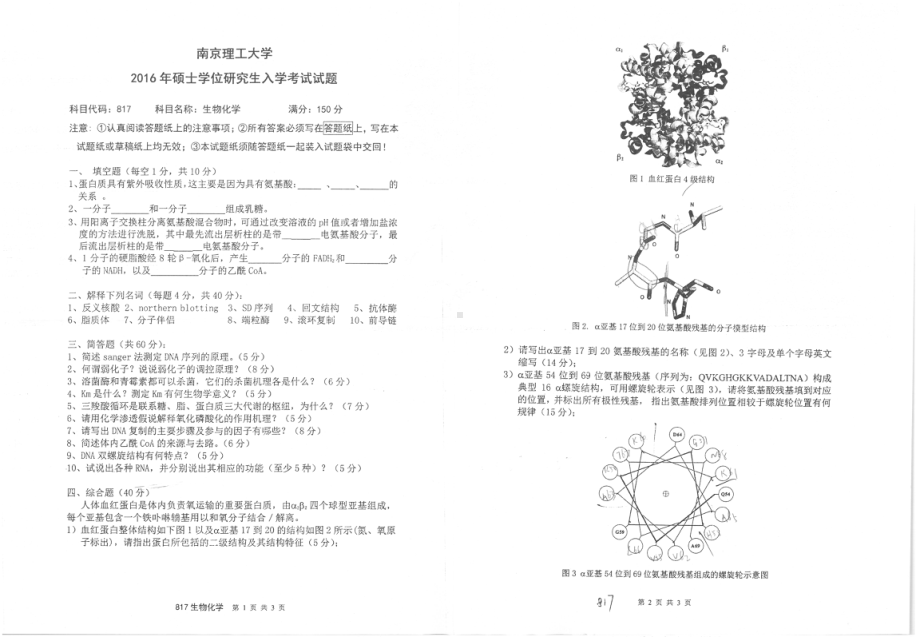 2016年南京理工大学考研专业课试题817生物化学.pdf_第1页