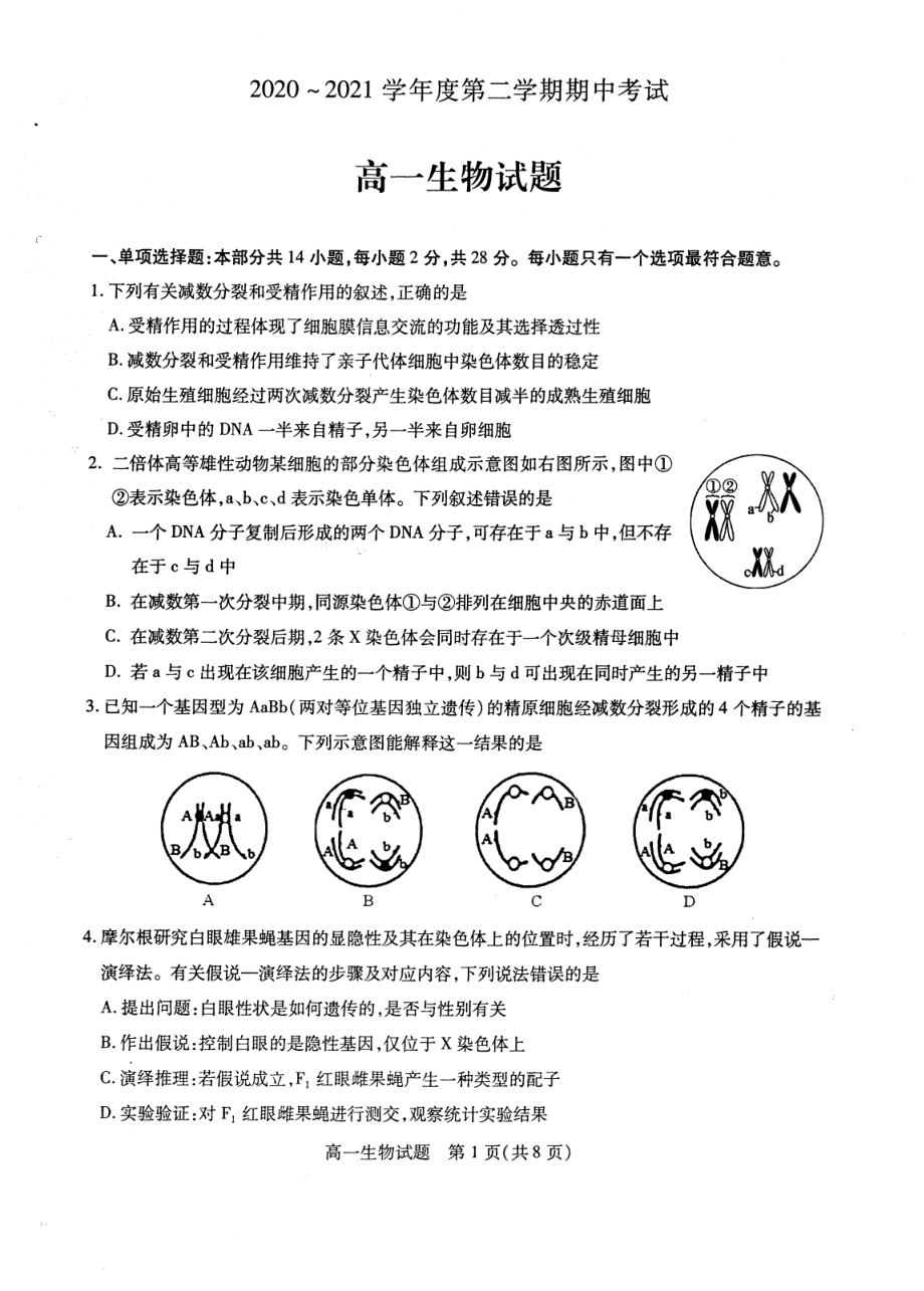 江苏省徐州市2020-2021学年高一下学期期中考试生物试题.pdf_第1页