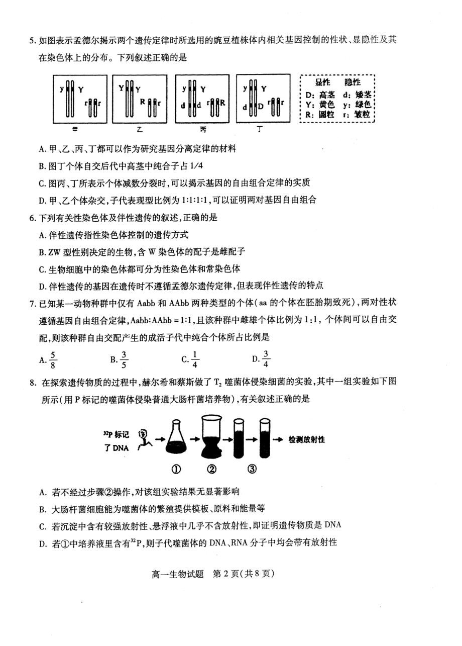 江苏省徐州市2020-2021学年高一下学期期中考试生物试题.pdf_第2页