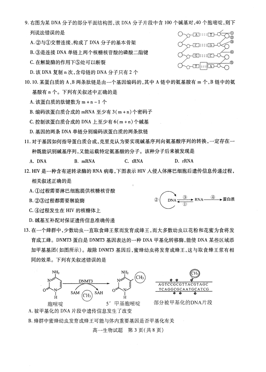 江苏省徐州市2020-2021学年高一下学期期中考试生物试题.pdf_第3页