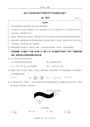 2022年江苏省苏州市初中毕业暨升学考试九年级数学 模拟试卷Ⅳ.pdf