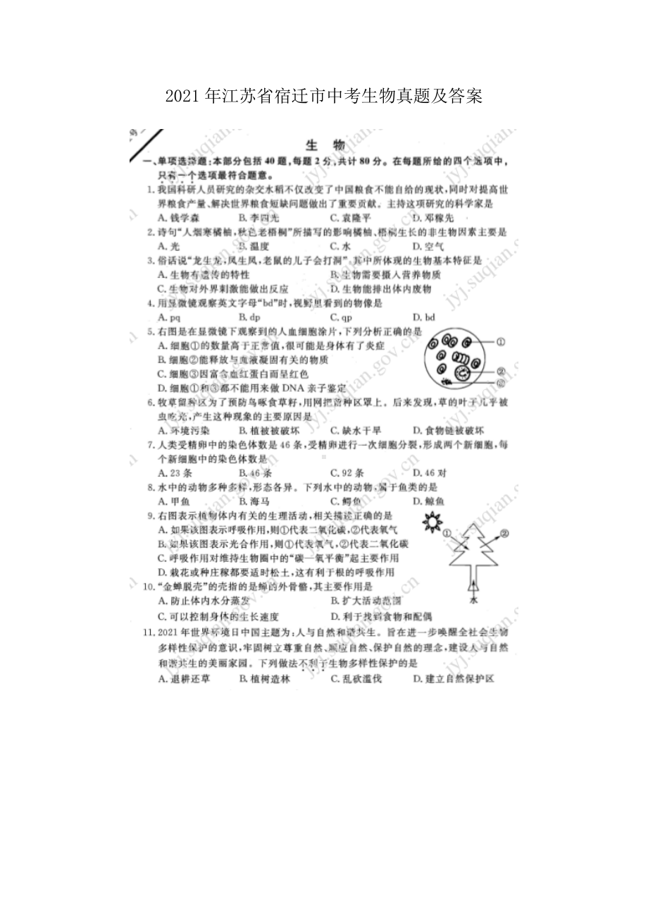 2021年江苏省宿迁市中考生物真题及答案.doc_第1页