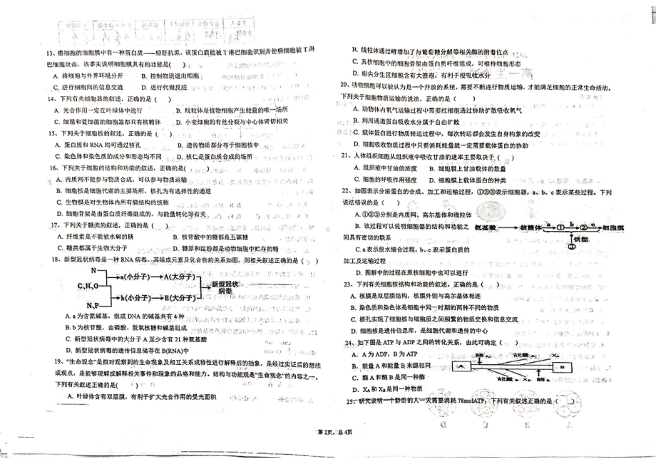 新疆乌苏市第一2021-2022学年高一下学期开学考试生物试题.pdf_第2页