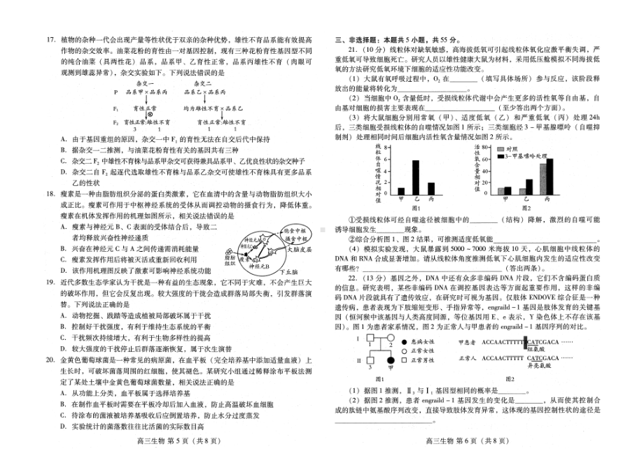 2022届山东省潍坊市3月高三一模统考生物试题.pdf_第3页