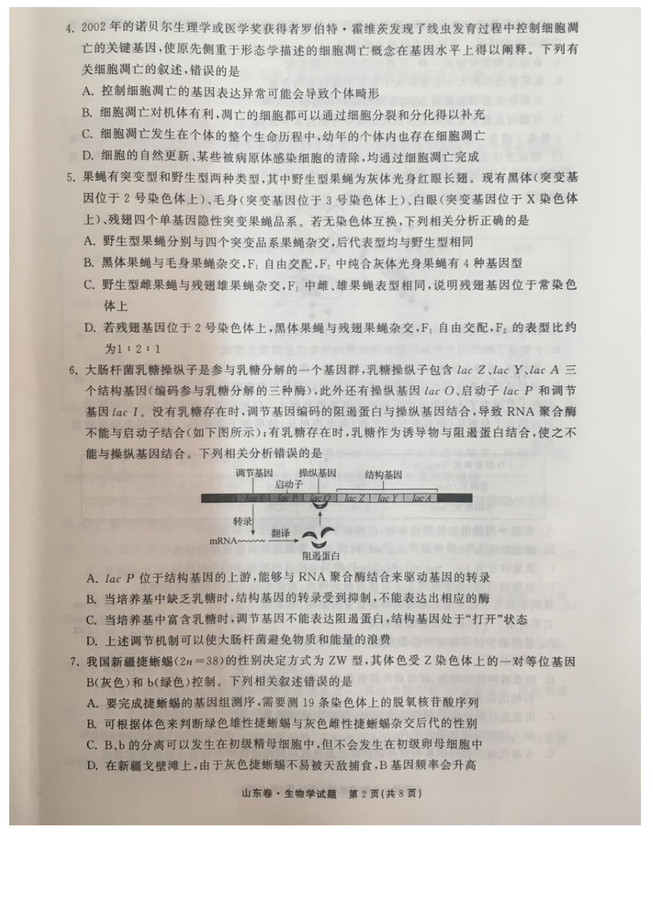 山东省2022届高三第二次学业质量联合检测生物试卷.pdf_第2页