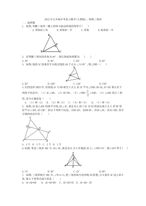 2022年九年级中考复习数学(人教版)特殊三角形.docx