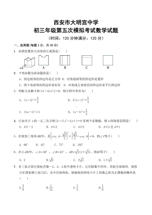 2020年陕西省西安市大明宫九年级第五次模拟考试数学试题.pdf