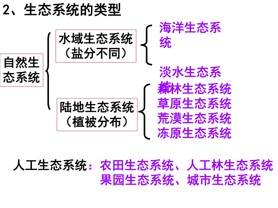 生态系统的结构(集体备课)资料课件.ppt_第3页