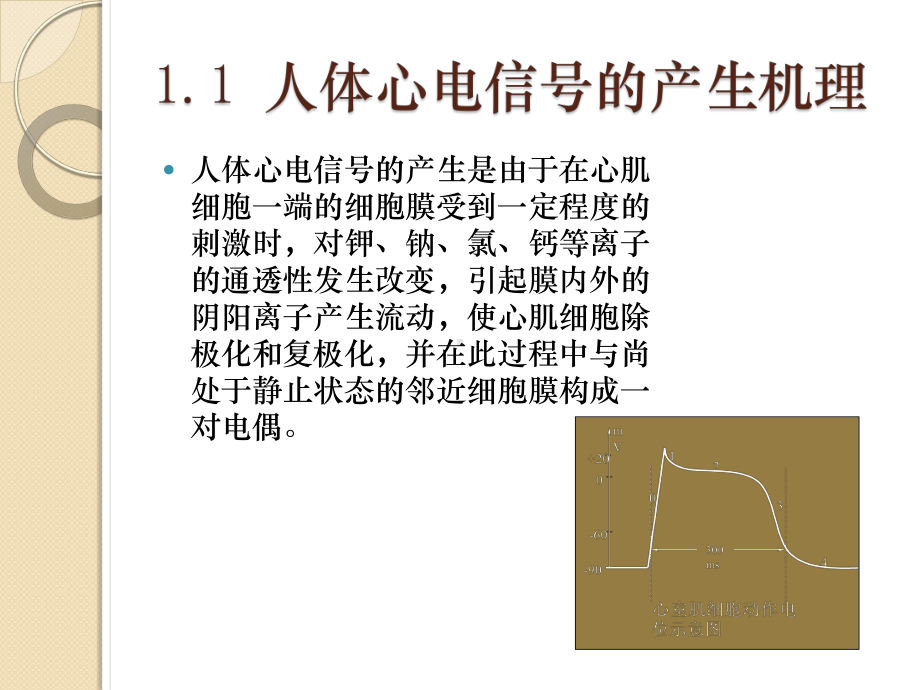 心电信号处理方法综述课件.pptx_第3页