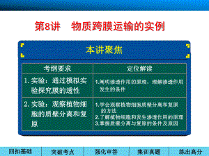 物质跨膜运输的实例课件.ppt