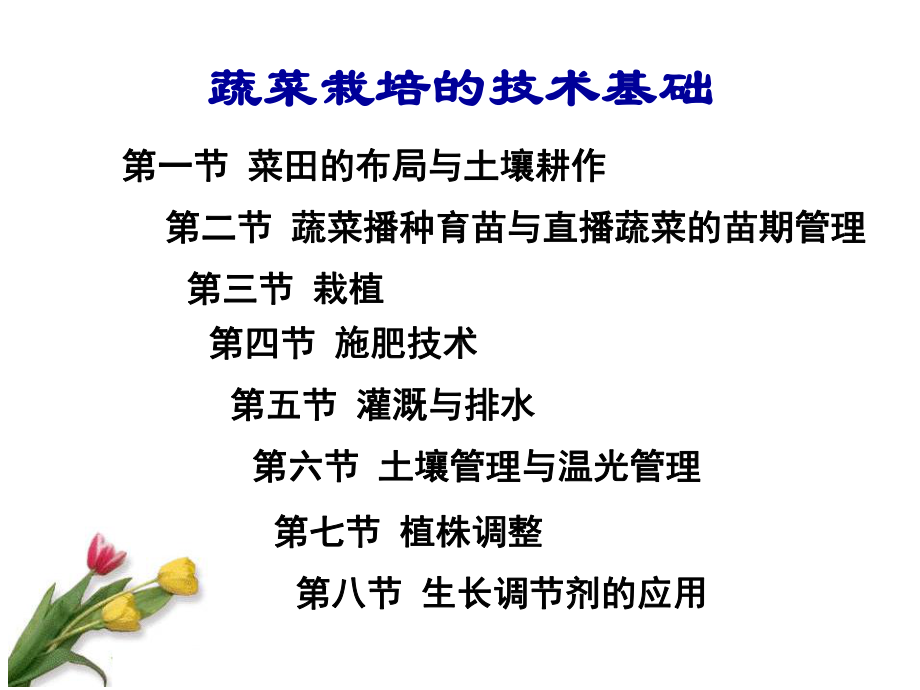 蔬菜种植技术培训课件.ppt_第1页