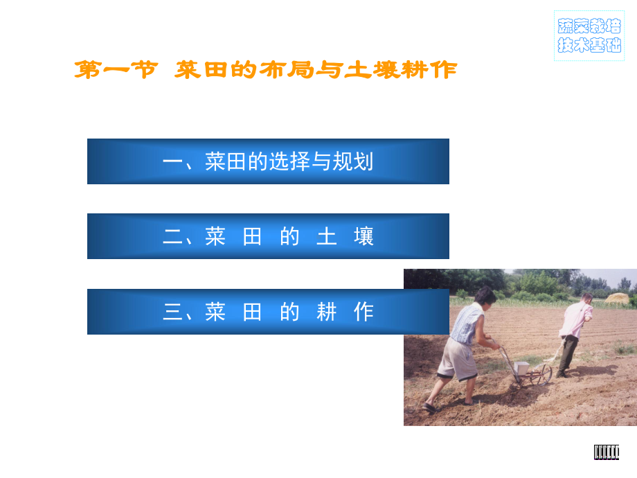 蔬菜种植技术培训课件.ppt_第2页