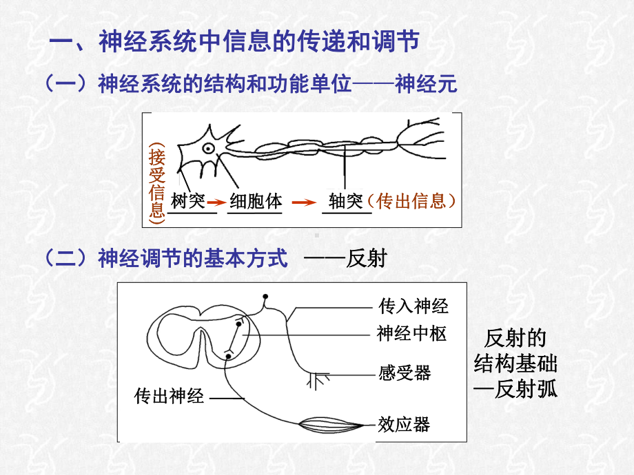 生物体对信息的传递和调节(复习)课件.ppt_第3页