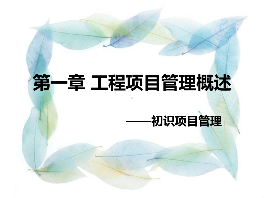 工程项目管理(第三版)课件.ppt_第2页