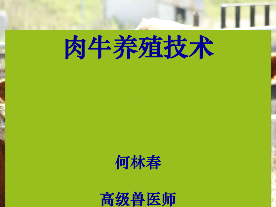 肉牛饲养管理技术(缩)教材课件.ppt_第1页