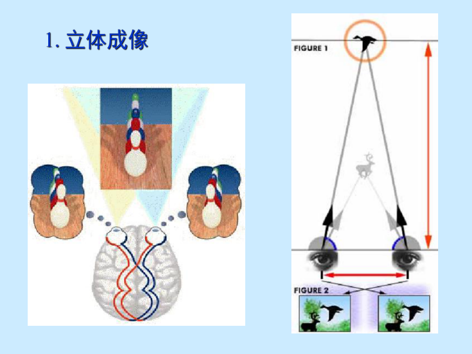 机器视觉测量技术6立体视觉.课件.ppt_第2页