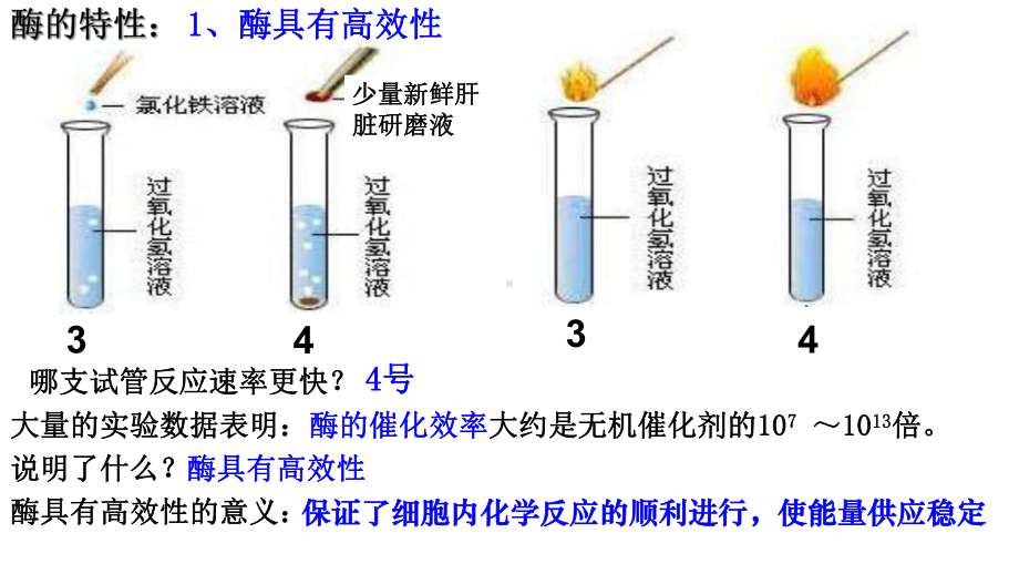 第5章第1节2-降低化学反应活化能的酶--酶的课件.ppt_第3页