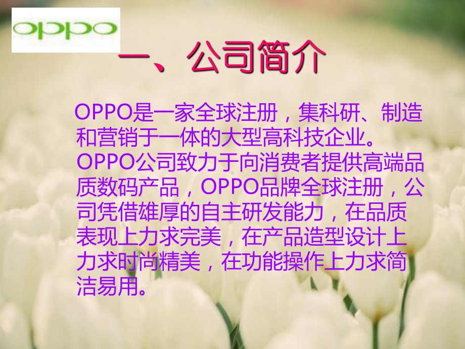 OPPO品牌营销分析课件.ppt_第3页