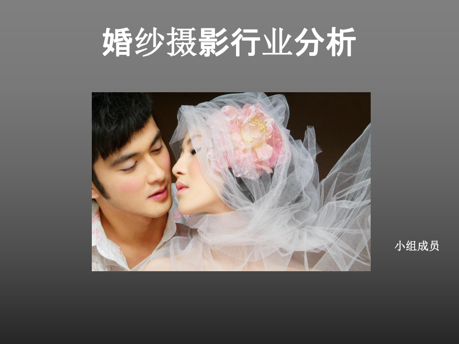 婚纱摄影行业研究分析课件.ppt_第1页